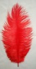 Ostrich feather, natural ostrich feather, real feather decroation