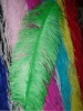 Ostrich feather, natural ostrich feather, wedding decoration feather