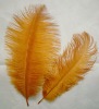 Ostrich feather, natural ostrich feather, wedding decoration feather