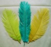 Ostrich feather, natural ostrich feather, wedding decoration feather