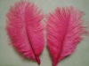 Ostrich feather, natural ostrich feather, wedding decoration feather