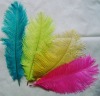 Ostrich feather, natural ostrich feather, wedding decoration feather