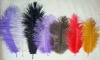 Ostrich feather, natural ostrich feather, wedding decoration feather