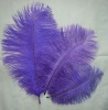 Ostrich feather, natural ostrich feather, wedding decoration feather