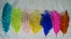 Ostrich feather, natural ostrich feather, wedding decoration feather