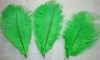 Ostrich feather, natural ostrich feather, wedding decoration feather