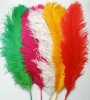 Ostrich feather, natural ostrich feather, wedding decoration feather