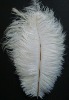 Ostrich feather, natural ostrich feather, wedding decoration feather