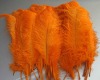 Ostrich feather, real sotrich feather, decorative ostrich feather, wedding feathers, tail feathers, party ostrich feathers,