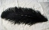 Ostrich feather, real sotrich feather, decorative ostrich feather, wedding feathers, tail feathers, party ostrich feathers,