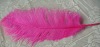 Ostrich feather, real sotrich feather, decorative ostrich feather, wedding feathers, tail feathers, party ostrich feathers,