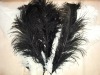 Ostrich feather, real sotrich feather, decorative ostrich feather, wedding feathers, tail feathers, party ostrich feathers,