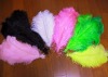 Ostrich feather, real sotrich feather, decorative ostrich feather, wedding feathers, tail feathers, party ostrich feathers,