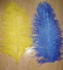 Ostrich feather, rooster feathers, feather extensions, grizzly rooster feathers