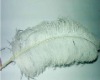 Ostrich feather, rooster feathers, feather extensions, grizzly rooster feathers