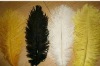 Ostrich feather, rooster feathers, feather extensions, grizzly rooster feathers
