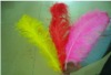 Ostrich feather, rooster feathers, feather extensions, grizzly rooster feathers