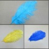 Ostrich feather, rooster feathers, feather extensions, grizzly rooster feathers