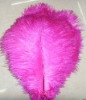 Ostrich feather, rooster feathers, feather extensions, grizzly rooster feathers