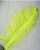 Ostrich feather, rooster feathers, feather extensions, grizzly rooster feathers