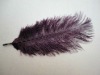 Ostrich feather, rooster feathers, feather extensions, grizzly rooster feathers