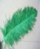 Ostrich feather, rooster feathers, feather extensions, grizzly rooster feathers