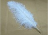 Ostrich feather, rooster feathers, feather extensions, grizzly rooster feathers