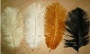 Ostrich feather, rooster feathers, feather extensions, grizzly rooster feathers