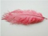 Ostrich feather, rooster feathers, feather extensions, grizzly rooster feathers