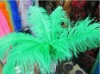 Ostrich feather, rooster feathers, feather extensions, grizzly rooster feathers