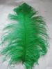 Ostrich feather, rooster feathers, feather extensions, grizzly rooster feathers