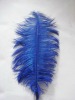 Ostrich feather, rooster feathers, feather extensions, grizzly rooster feathers