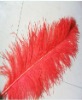 Ostrich feather, rooster feathers, feather extensions, grizzly rooster feathers