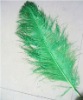 Ostrich feather, rooster feathers, feather extensions, grizzly rooster feathers