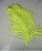 Ostrich feather, rooster feathers, feather extensions, grizzly rooster feathers