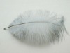 Ostrich feather, rooster feathers, feather extensions, grizzly rooster feathers