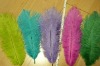 Ostrich feather, rooster feathers, feather extensions, grizzly rooster feathers