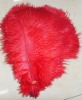 Ostrich feather, rooster feathers, feather extensions, grizzly rooster feathers