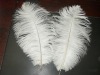 Ostrich feather, rooster feathers, feather extensions, grizzly rooster feathers