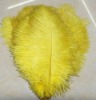 Ostrich feather, rooster feathers, feather extensions, grizzly rooster feathers