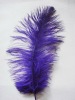 Ostrich feather, rooster feathers, feather extensions, grizzly rooster feathers