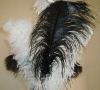 Ostrich feather, wedding decoration feather, real ostrich feather