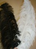 Ostrich feather, wedding decoration feather, real ostrich feather