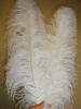 Ostrich feather, wedding decoration feather, real ostrich feather