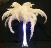 Ostrich feather, wedding decoration feather, real ostrich feather