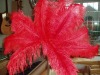 Ostrich feather, wedding decoration feather, real ostrich feather