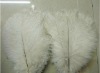 Ostrich feathers material, wedding feather, feather extension, decroation feathers