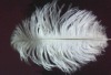 Ostrich feathers material, wedding feather, feather extension, decroation feathers