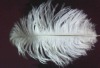 Ostrich feathers material, wedding feather, feather extension, decroation feathers