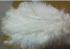 Ostrich feathers material,  wedding feather, feather extension, decroation feathers